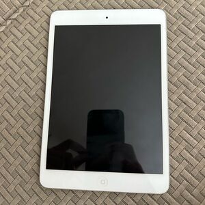iPad Mini (1st Gen)
